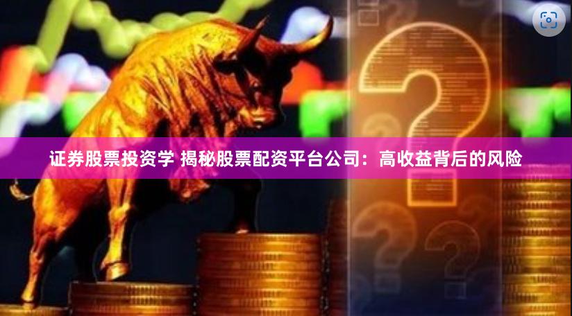 证券股票投资学 揭秘股票配资平台公司：高收益背后的风险