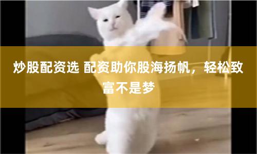 炒股配资选 配资助你股海扬帆，轻松致富不是梦