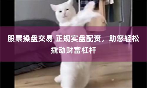 股票操盘交易 正规实盘配资，助您轻松撬动财富杠杆