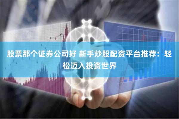股票那个证券公司好 新手炒股配资平台推荐：轻松迈入投资世界