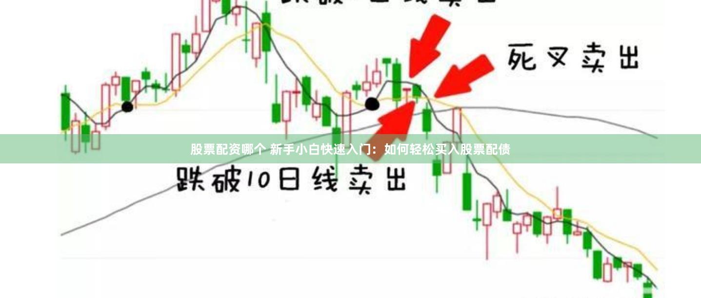 股票配资哪个 新手小白快速入门：如何轻松买入股票配债