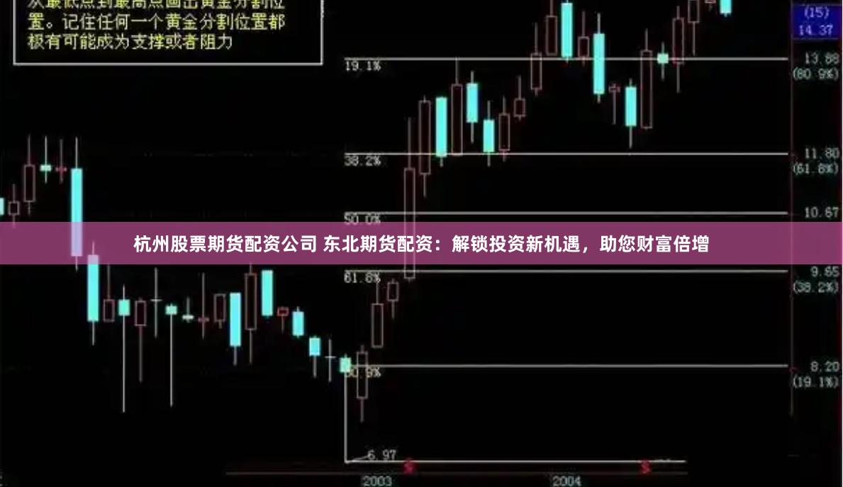 杭州股票期货配资公司 东北期货配资：解锁投资新机遇，助您财富倍增