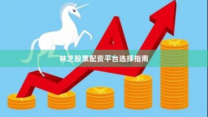 林芝股票配资平台选择指南