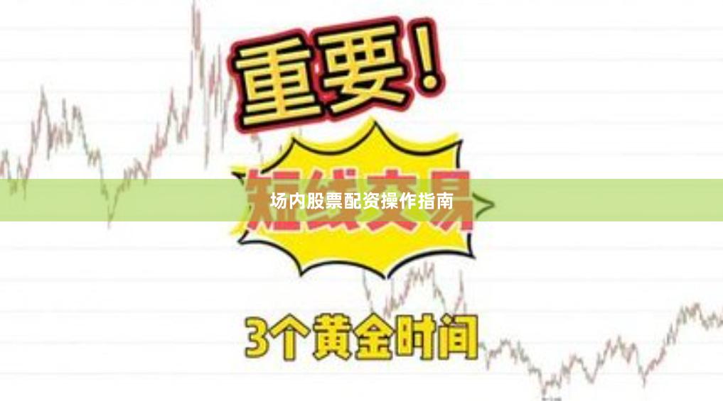 场内股票配资操作指南